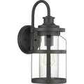 Progress Lighting Haslett Collection One-Light Medium Wall Lantern P560095-031